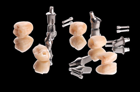 Kim loại cấy ghép vương miện cầu thiên nhiên Zirconia vương miện Full Contour với abutment Titanium